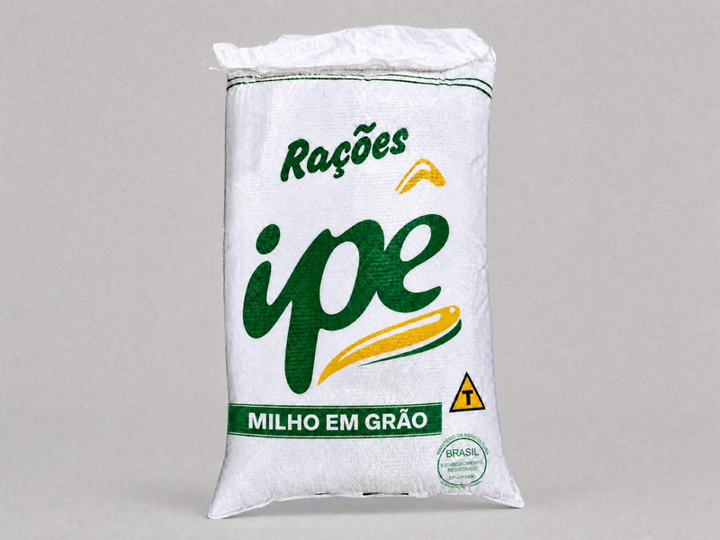 Milho em Grão